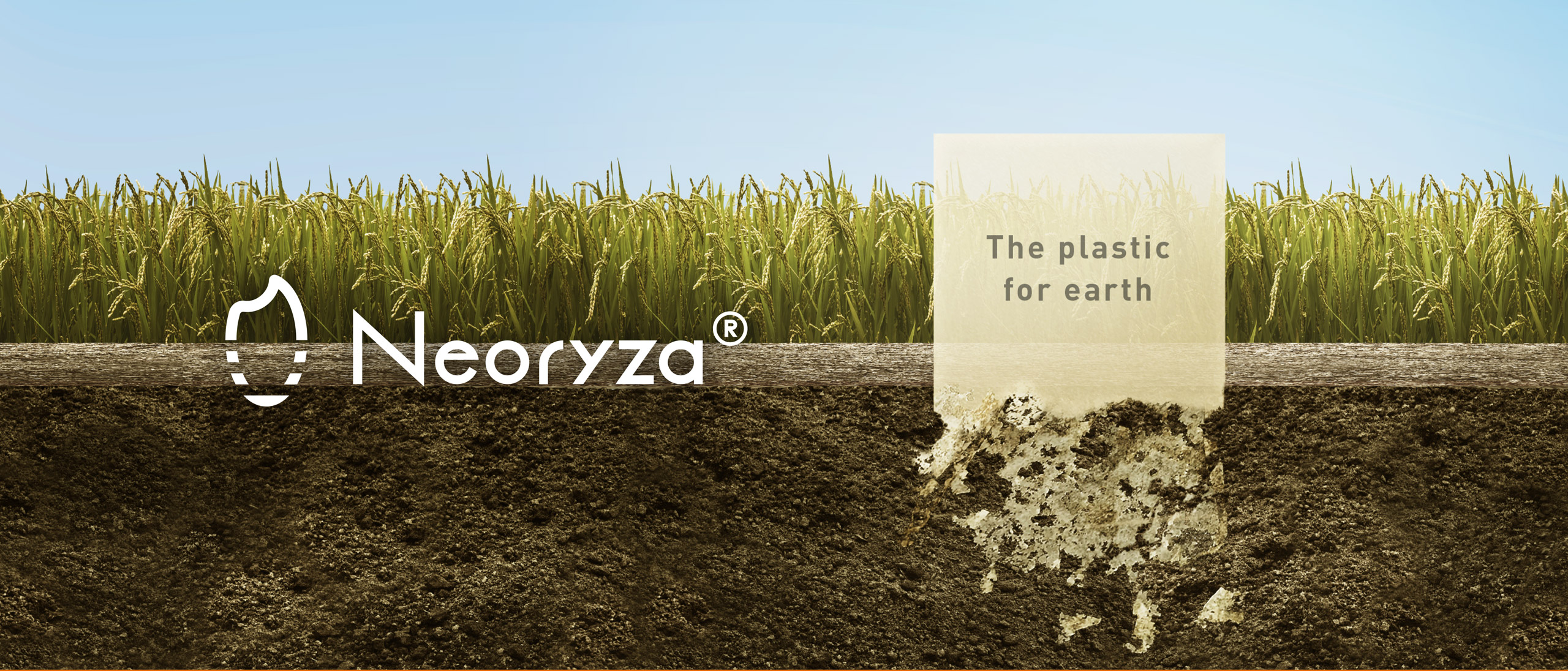 Neoryza®